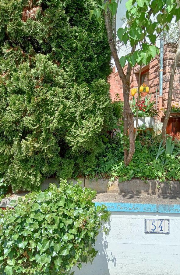 شقة Casa La Collina Delle Ginestre إبرباخ المظهر الخارجي الصورة